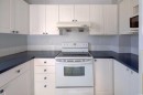179 Saddlemead Green Ne, Calgary, AB  - Indoor Photo Showing Kitchen 