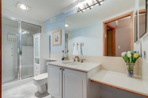 8 Mt Cascade Close Se, Calgary, AB - Indoor Photo Showing Bathroom