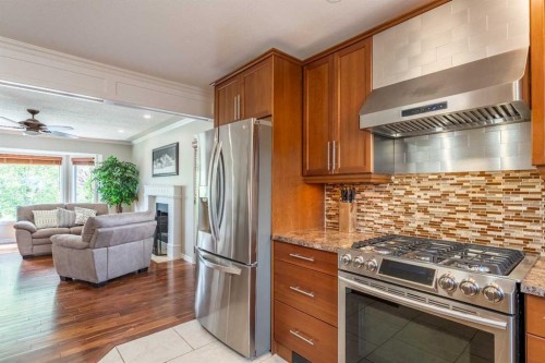 248 Templevale Road Ne, Calgary, AB - Indoor Photo Showing Kitchen With Stainless Steel Kitchen With Upgraded Kitchen
