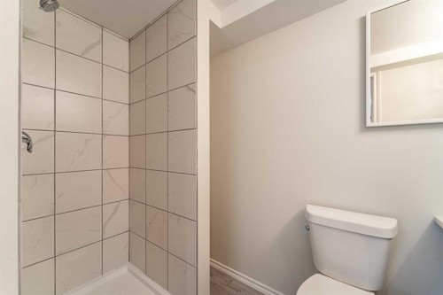 248 Templevale Road Ne, Calgary, AB - Indoor Photo Showing Bathroom