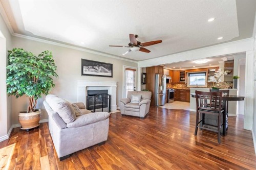 248 Templevale Road Ne, Calgary, AB - Indoor Photo Showing Living Room With Fireplace
