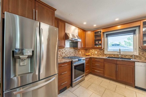 248 Templevale Road Ne, Calgary, AB - Indoor Photo Showing Kitchen With Stainless Steel Kitchen With Upgraded Kitchen
