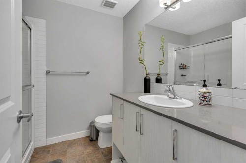 154 Seton Passage Se, Calgary, AB - Indoor Photo Showing Bathroom