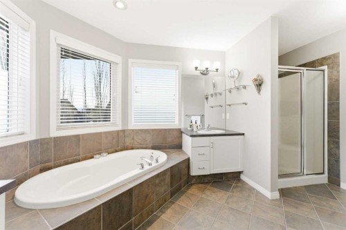 74 Evercreek Bluffs Road Sw, Calgary, AB - Indoor Photo Showing Bathroom