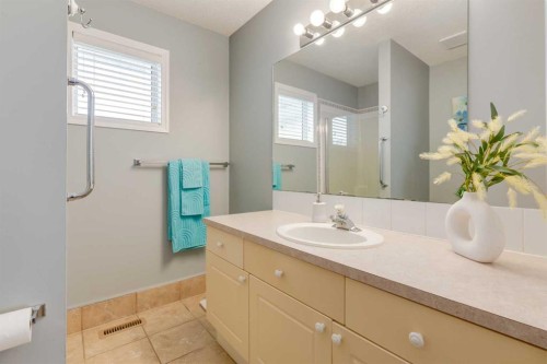 126 Harvest Gold Place Ne, Calgary, AB - Indoor Photo Showing Bathroom