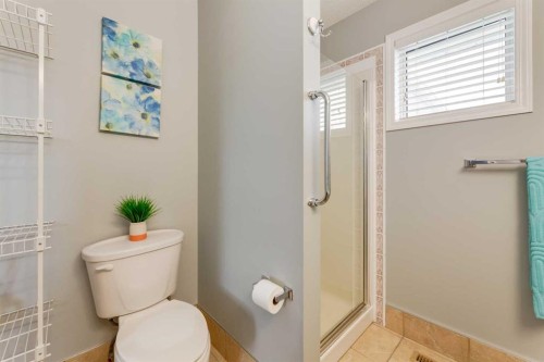126 Harvest Gold Place Ne, Calgary, AB - Indoor Photo Showing Bathroom