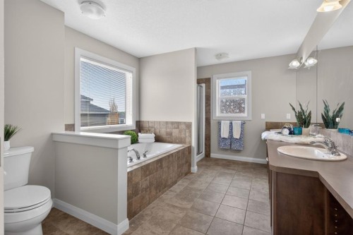 94 Evansdale Common Nw, Calgary, AB - Indoor Photo Showing Bathroom