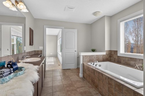 94 Evansdale Common Nw, Calgary, AB - Indoor Photo Showing Bathroom