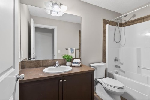 94 Evansdale Common Nw, Calgary, AB - Indoor Photo Showing Bathroom