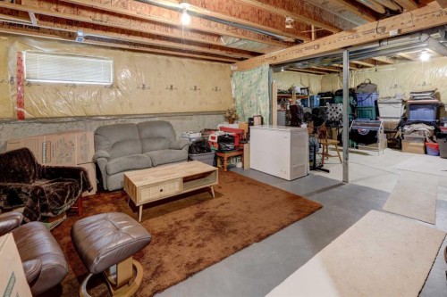 47 Martinvalley Way Ne, Calgary, AB - Indoor Photo Showing Basement