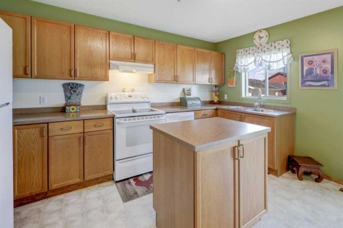 47 Martinvalley Way Ne, Calgary, AB - Indoor Photo Showing Kitchen With Double Sink