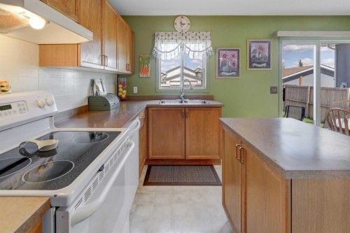 47 Martinvalley Way Ne, Calgary, AB - Indoor Photo Showing Kitchen With Double Sink