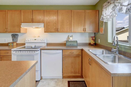 47 Martinvalley Way Ne, Calgary, AB - Indoor Photo Showing Kitchen With Double Sink