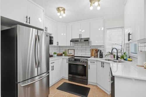 59 Taravista Street Ne, Calgary, AB - Indoor Photo Showing Kitchen With Double Sink With Upgraded Kitchen
