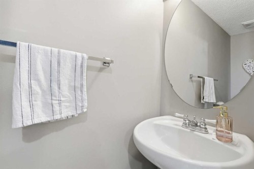 59 Taravista Street Ne, Calgary, AB - Indoor Photo Showing Bathroom