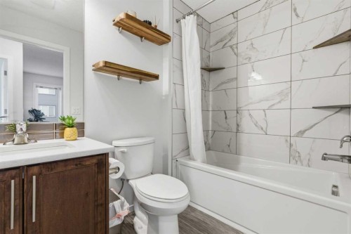11257 Cityscape Drive Ne, Calgary, AB - Indoor Photo Showing Bathroom