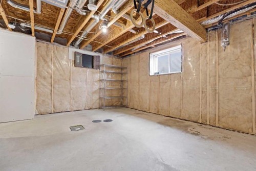 11257 Cityscape Drive Ne, Calgary, AB - Indoor Photo Showing Basement
