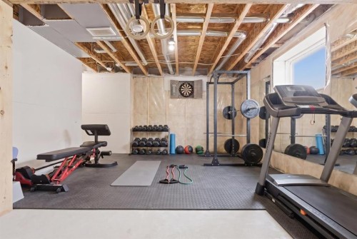 11257 Cityscape Drive Ne, Calgary, AB - Indoor Photo Showing Gym Room