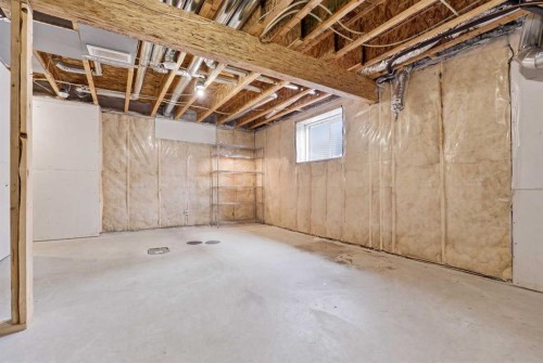 11257 Cityscape Drive Ne, Calgary, AB - Indoor Photo Showing Basement