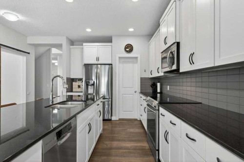 1091 Brightoncrest Green Se, Calgary, AB - Indoor Photo Showing Kitchen With Double Sink With Upgraded Kitchen