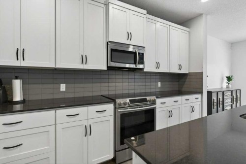 1091 Brightoncrest Green Se, Calgary, AB - Indoor Photo Showing Kitchen With Upgraded Kitchen