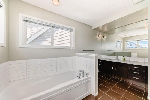 101 Copperstone Circle Se, Calgary, AB - Indoor Photo Showing Bathroom