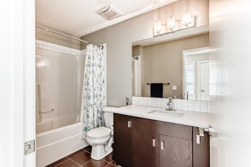 101 Copperstone Circle Se, Calgary, AB - Indoor Photo Showing Bathroom
