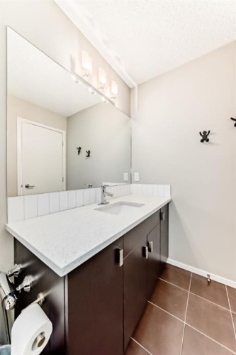 101 Copperstone Circle Se, Calgary, AB - Indoor Photo Showing Bathroom