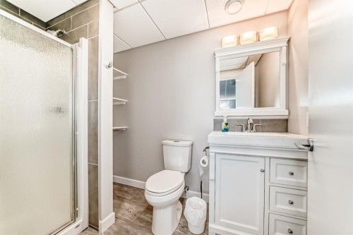 101 Copperstone Circle Se, Calgary, AB - Indoor Photo Showing Bathroom