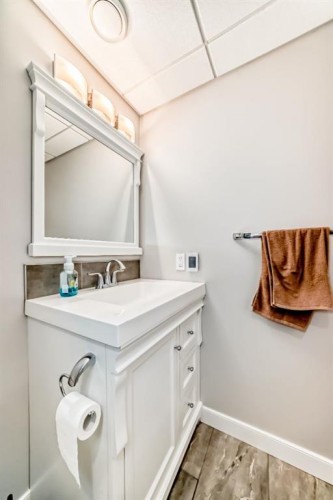 101 Copperstone Circle Se, Calgary, AB - Indoor Photo Showing Bathroom