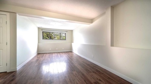 367 Copperfield Heights Se, Calgary, AB - Indoor Photo Showing Other Room