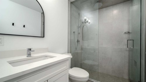 367 Copperfield Heights Se, Calgary, AB - Indoor Photo Showing Bathroom