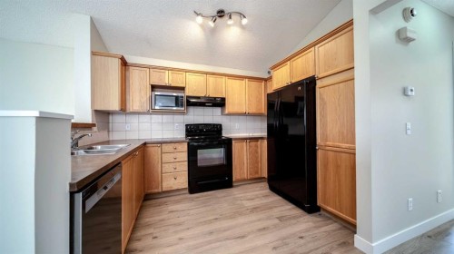 367 Copperfield Heights Se, Calgary, AB - Indoor Photo Showing Kitchen With Double Sink