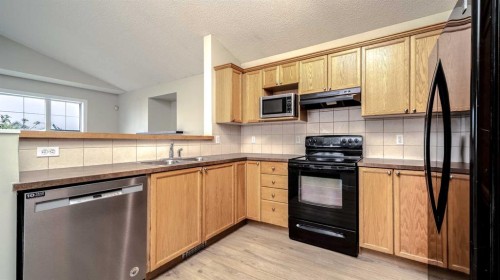367 Copperfield Heights Se, Calgary, AB - Indoor Photo Showing Kitchen With Double Sink