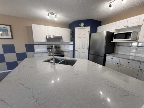 15 Saddletree Drive Ne, Calgary, AB - Indoor Photo Showing Kitchen With Double Sink