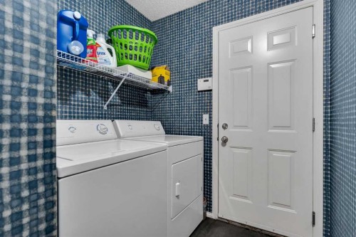 15 Saddletree Drive Ne, Calgary, AB - Indoor Photo Showing Laundry Room