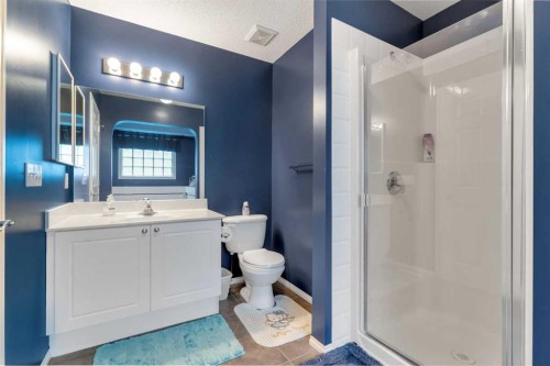 15 Saddletree Drive Ne, Calgary, AB - Indoor Photo Showing Bathroom