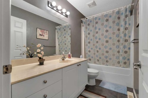 15 Saddletree Drive Ne, Calgary, AB - Indoor Photo Showing Bathroom