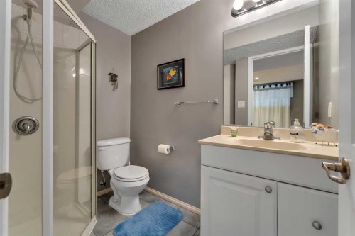 15 Saddletree Drive Ne, Calgary, AB - Indoor Photo Showing Bathroom