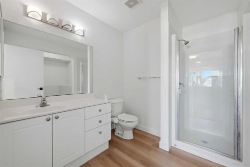 88 Saddletree Close Ne, Calgary, AB - Indoor Photo Showing Bathroom