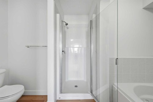88 Saddletree Close Ne, Calgary, AB - Indoor Photo Showing Bathroom