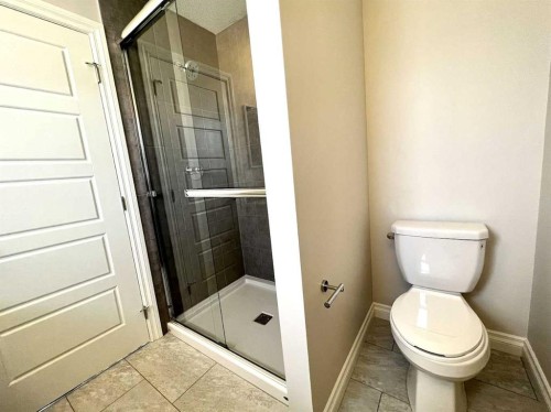 30 Emberside Link, Cochrane, AB - Indoor Photo Showing Bathroom