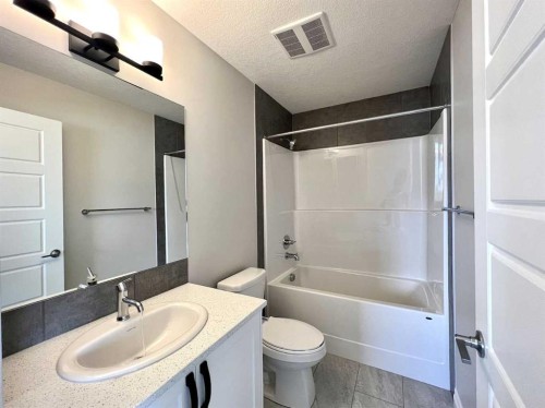 30 Emberside Link, Cochrane, AB - Indoor Photo Showing Bathroom