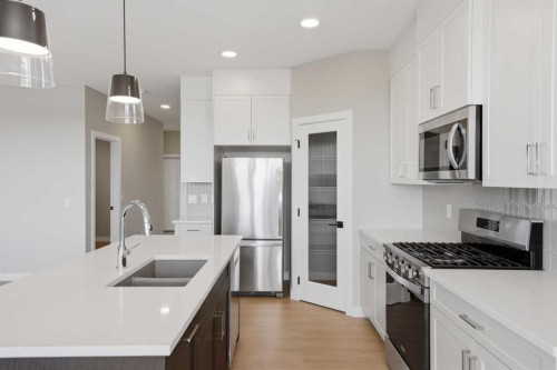 139 Belvedere Crescent Se, Calgary, AB - Indoor Photo Showing Kitchen With Double Sink With Upgraded Kitchen