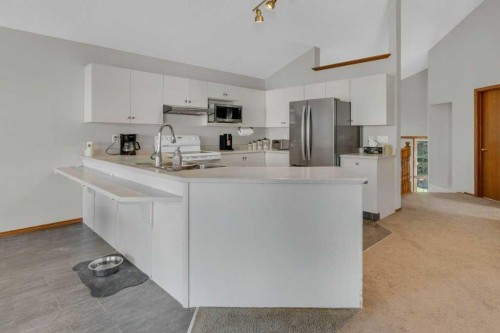 24 Citadel Close Nw, Calgary, AB - Indoor Photo Showing Kitchen With Double Sink