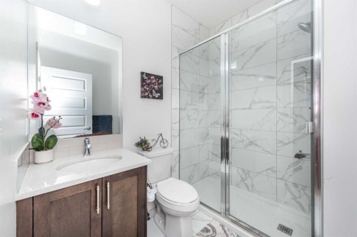 32 Saddlestone Way Ne, Calgary, AB - Indoor Photo Showing Bathroom