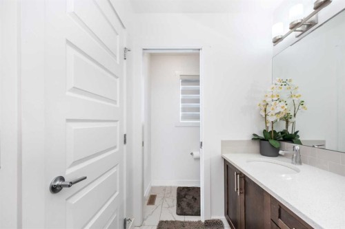 32 Saddlestone Way Ne, Calgary, AB - Indoor Photo Showing Bathroom