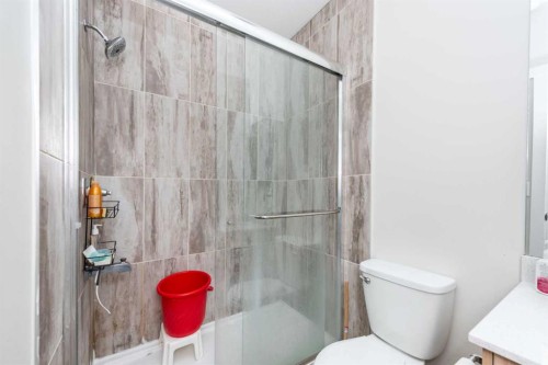 32 Saddlestone Way Ne, Calgary, AB - Indoor Photo Showing Bathroom