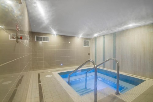 501-138 Waterfront Court Sw, Calgary, AB - Indoor Photo Showing Other Room With In Ground Pool