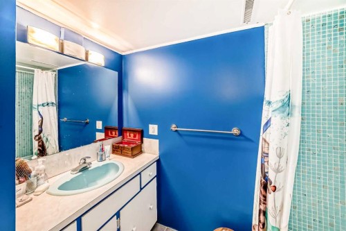 5007 Vallance Crescent Nw, Calgary, AB - Indoor Photo Showing Bathroom